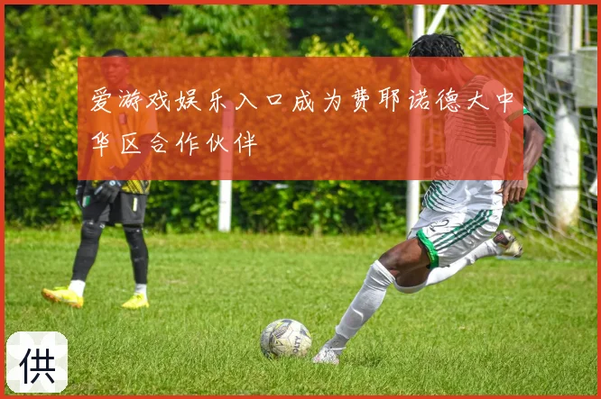 爱游戏娱乐入口成为费耶诺德大中华区合作伙伴